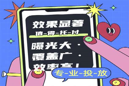 专业竞价SEM托管成功案例解析